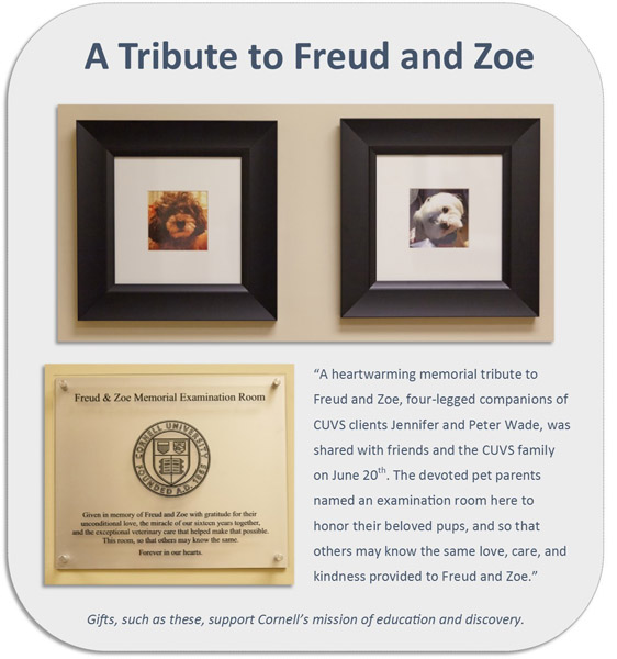 Freud and Zoe