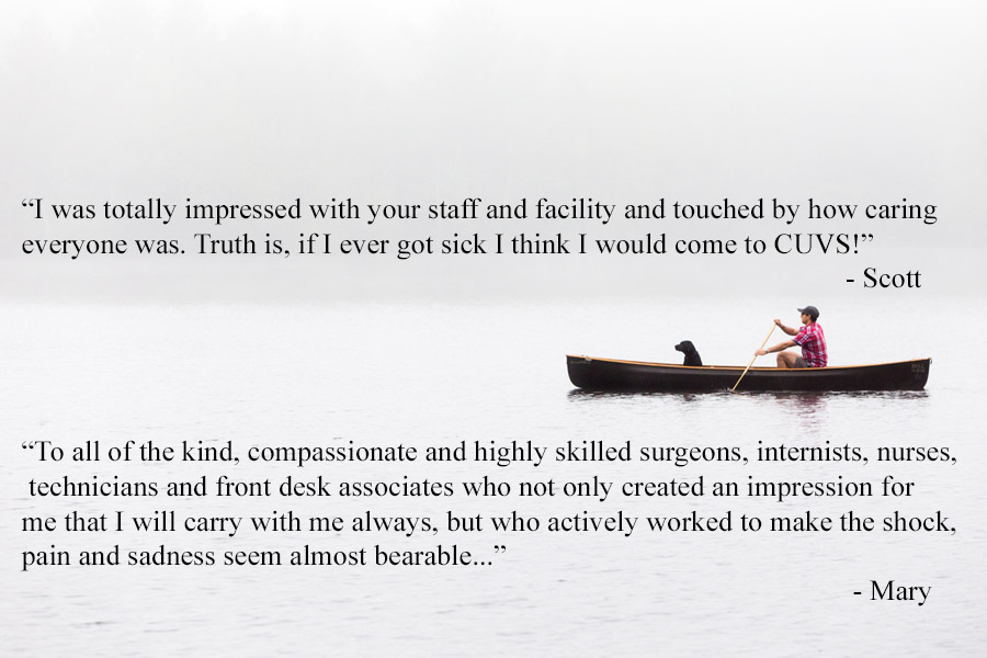 canoe with client quotes