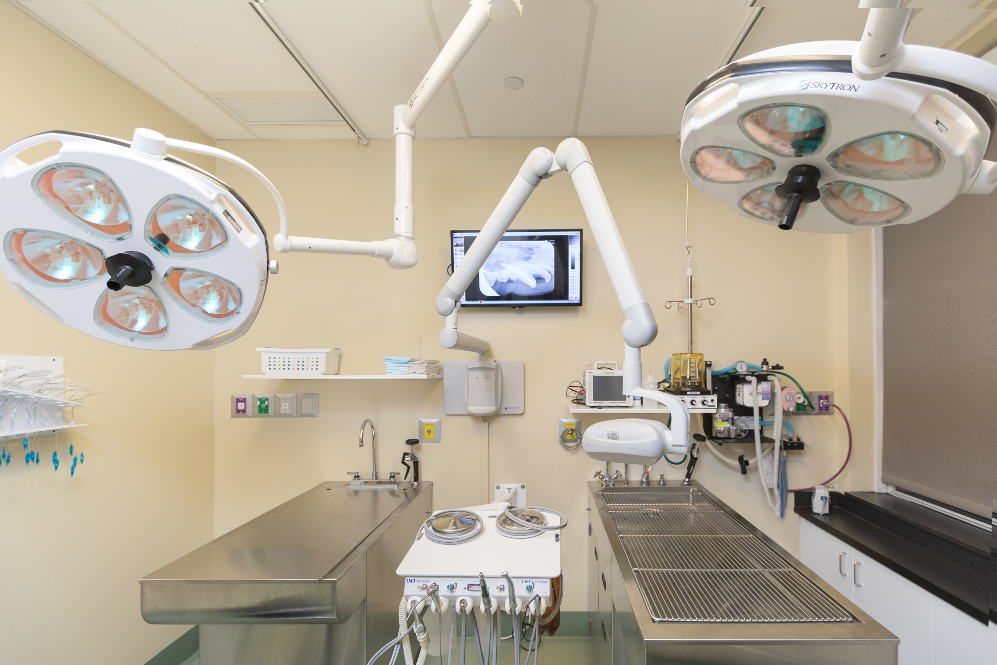 Dentistry & Oral Surgery Operatory