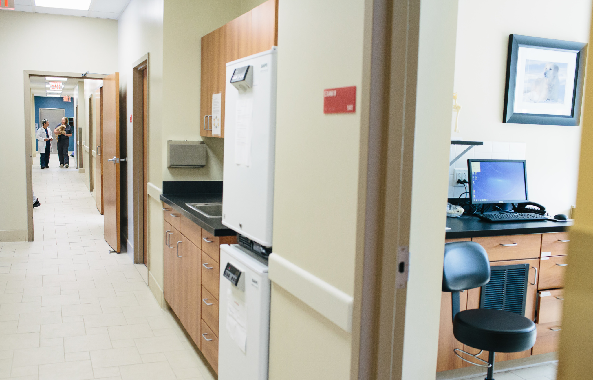 Hallway and Examination  Rooms