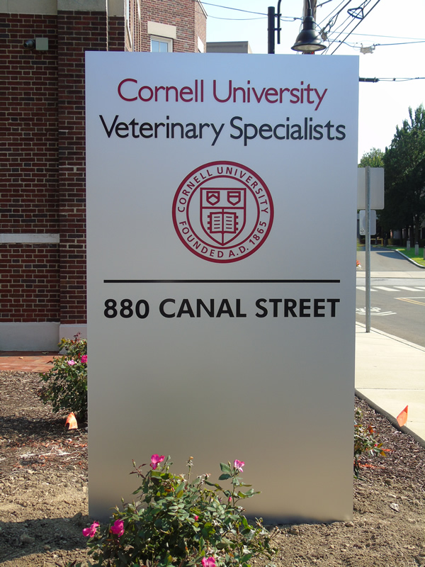 cornell vet school tour